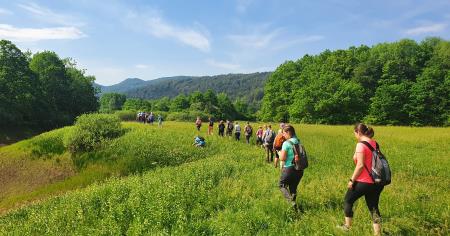 Spomladanski pohod po Radenskem polju